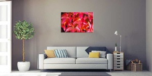 Tablou Canvas Frunze - Img 1