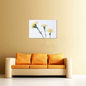 Tablou Canvas Garoafa - Img 1