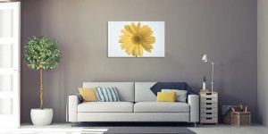 Tablou Canvas gerbera - Img 1