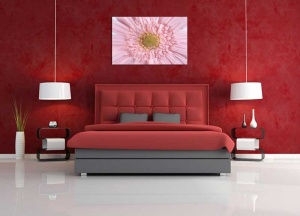 Tablou Canvas gerbera - Img 1