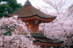 Tablou Canvas Japonia - Img 2