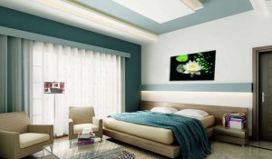 Tablou Canvas Nufar - Img 1