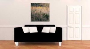 Tablou Canvas Padure