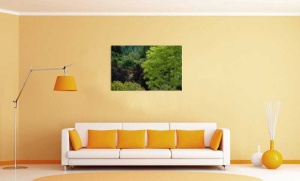 Tablou Canvas Padure - Img 1