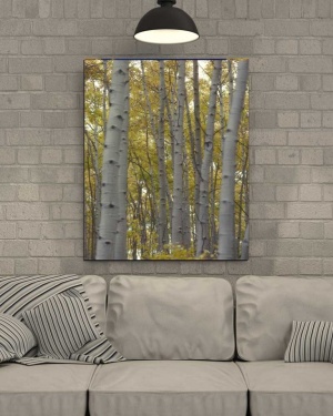 Tablou Canvas Padure - Img 1