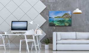 Tablou Canvas ri underwater - sub apa - Img 1