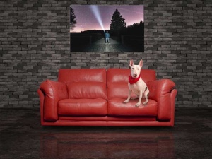 Tablou Canvas Semnal Luminos - Img 1
