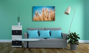 Spice de grau - Tablou Canvas natura - Img 1