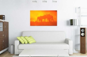 Tablou Canvas Africa - Img 1