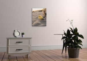 Tablou Canvas animale bobocel pe nisip - Img 2