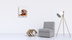 Tablou Canvas animale caine gras - Img 3
