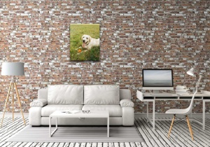 Tablou Canvas animale caine obosit - Img 2