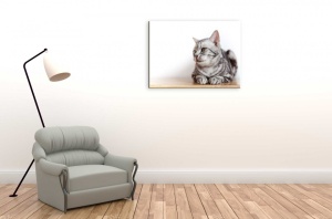 Tablou Canvas animale pisica la panda - Img 1
