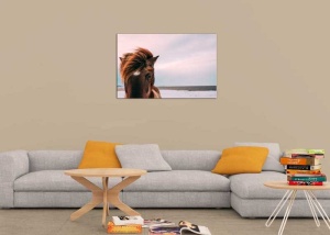 Tablou Canvas Cal Maro - Img 1
