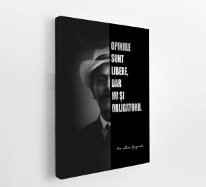 Talou Citate Motivationale Ion Luca Caragiale - Opiniile