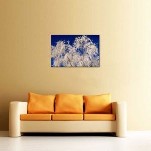 Tablou Canvas Copac Inghetat - Img 1