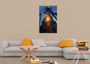 Tablou Canvas Copaci - Img 1