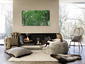 Tablou Canvas Copaci - Img 1