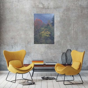 Tablou Canvas Copaci - Img 1