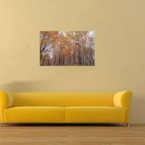 Tablou Canvas Copaci - Img 1