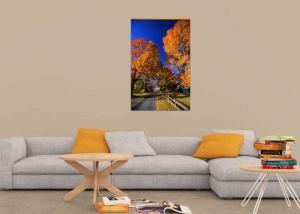 Tablou Canvas Copaci - Img 1