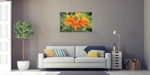 Tablou Canvas Crin - Img 1