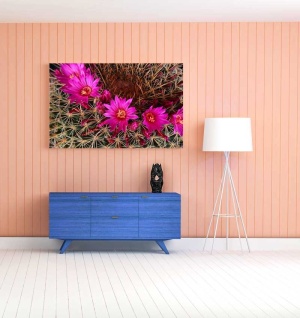 Tablou Canvas Floare De Cactus - Img 1