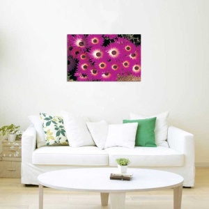 Tablou Canvas Floare Detaliu - Img 1