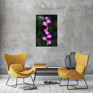 Tablou Canvas Floare - Img 1