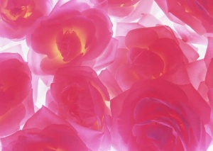 Tablou Canvas Floare - Img 2
