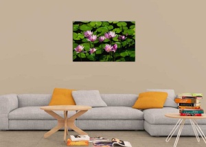 Tablou Canvas Flori de nufar - Img 1