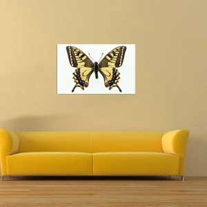 Tablou Canvas Fluturas - Img 1
