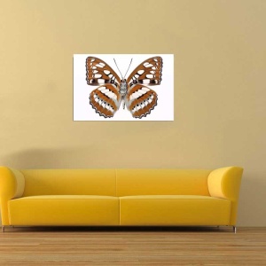 Tablou Canvas Fluturas - Img 1