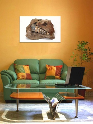 Tablou Canvas Fosila - Img 1