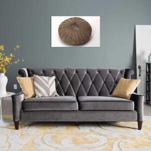 Tablou Canvas Fosila - Img 1