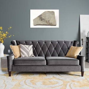Tablou Canvas Fosila - Img 1