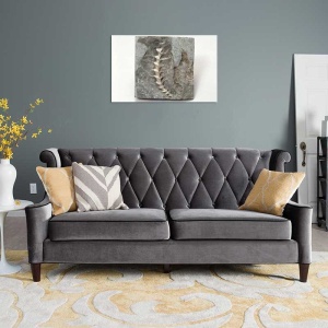 Tablou Canvas Fosila