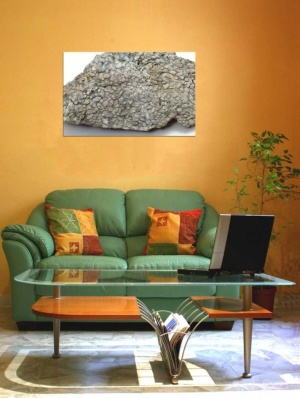 Tablou Canvas Fosila - Img 1