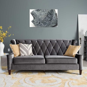 Tablou Canvas Fosila - Img 1