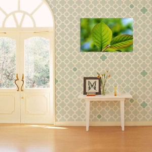 Tablou Canvas Frunza - Img 1