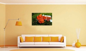Tablou Canvas Frunze si Zapada - Img 1