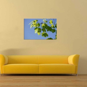 Tablou Canvas Frunze - Img 1