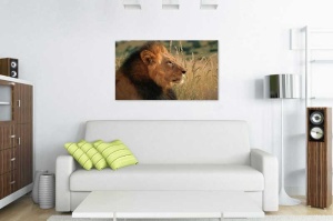 Tablou Canvas Leu - Img 1