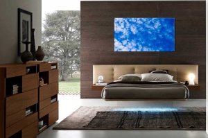 Tablou Canvas Nori Albi - Img 1