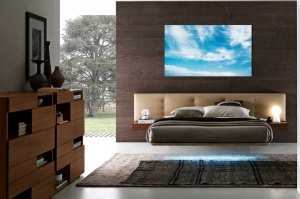 Tablou Canvas Nori Albi - Img 1