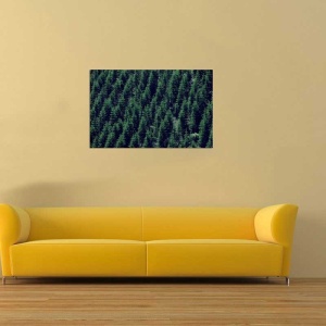 Tablou Canvas Padure - Img 1