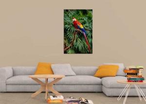 Tablou Canvas Papagal - Img 1