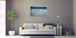 Tablou Canvas Pasari - Img 1
