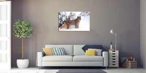 Tablou Canvas Pisica de Munte - Img 1
