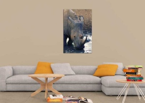 Tablou Canvas Rinocer - Img 1